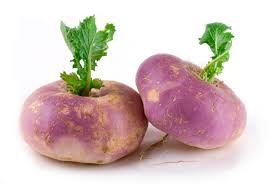 turnip-1