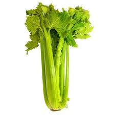 celery-1