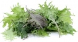 kale, bébé